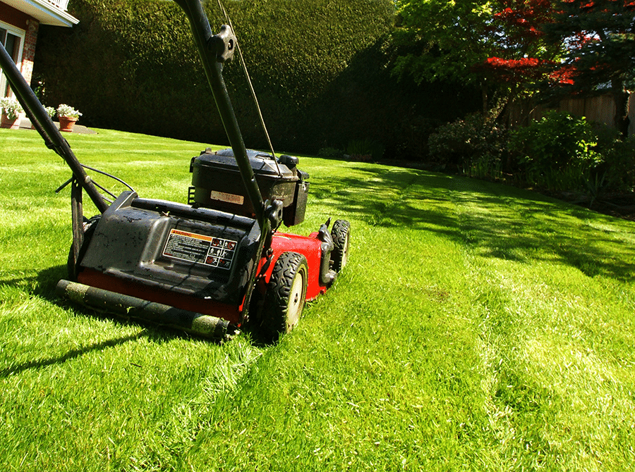 Trusted and Reliable Garden Maintenance