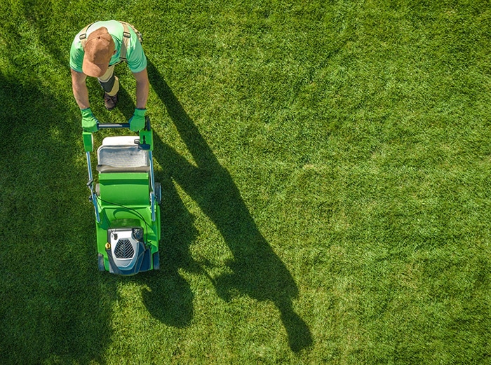 Are you looking for a local garden maintenance?