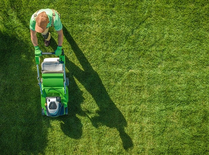 Are you looking for a local garden maintenance?