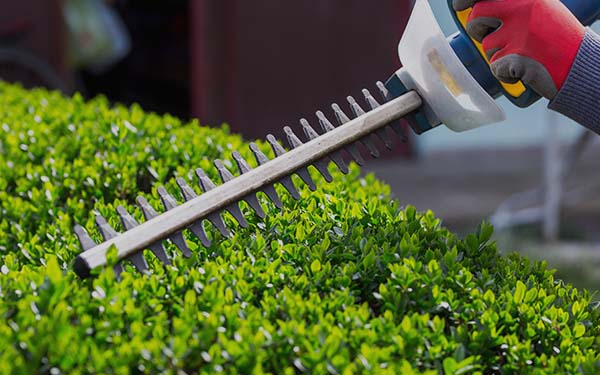 Garden Maintenance in Newcastle, Durham, Darlington - Jamesons Groundcare