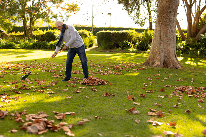 Make Sure Your Garden Is Autumn Ready