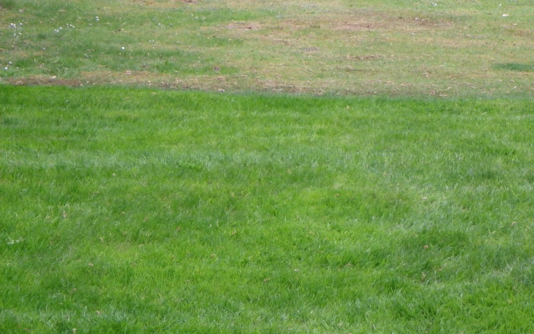 Preparing Your Outdoor Space for Summer