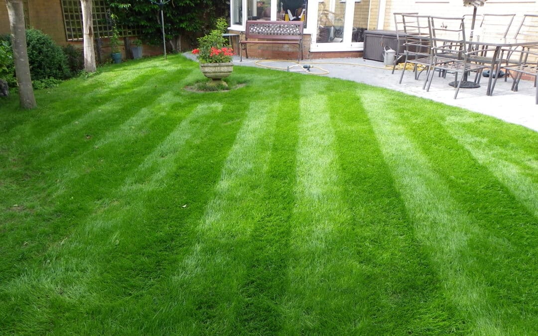 Looking After Your Lawn
