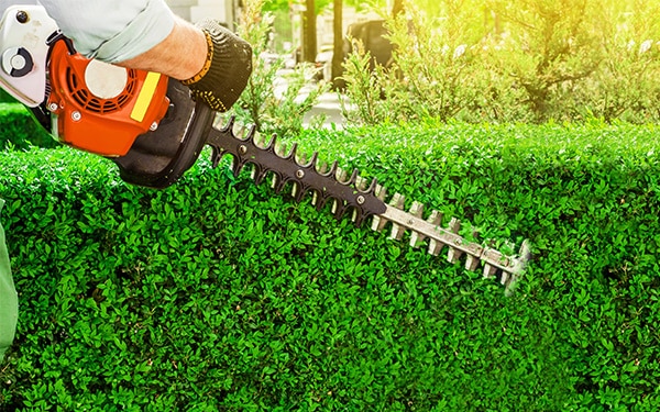 Garden Maintenance in Newcastle, Durham, Darlington - Jamesons Groundcare