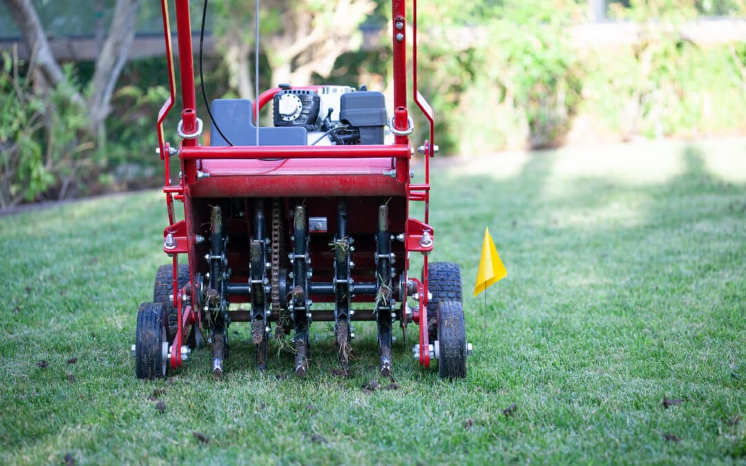 Benefits of Aerating Your Lawn