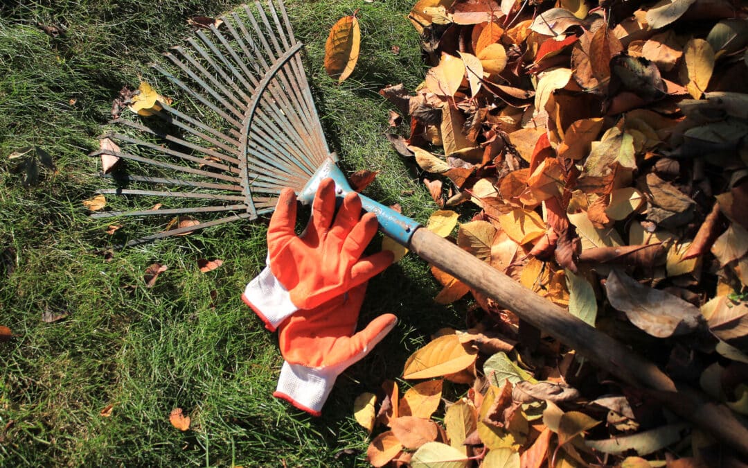 Getting Ready for Autumn