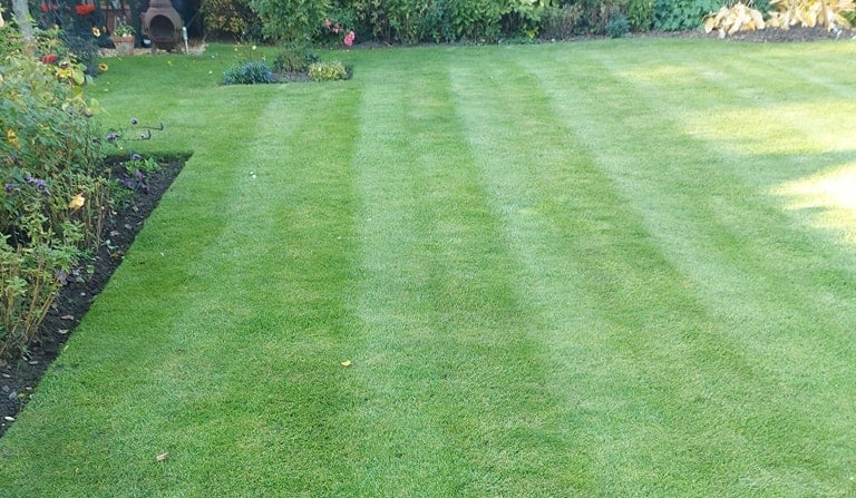 The Benefits of a Compaction Free Lawn