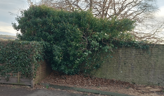 Walled Gardens