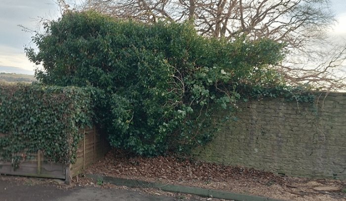Walled Gardens