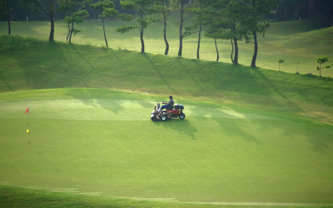 The Importance of Commercial Grounds Maintenance in Summer