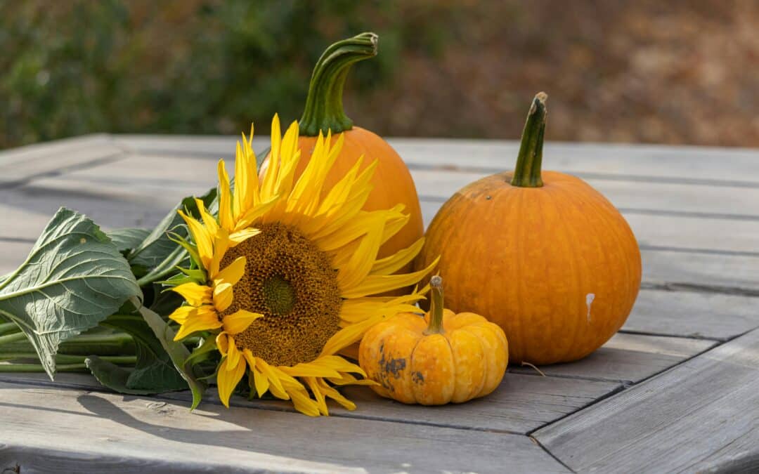 Spooktacular Landscaping