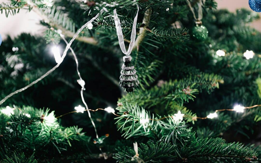 Oh Christmas Tree