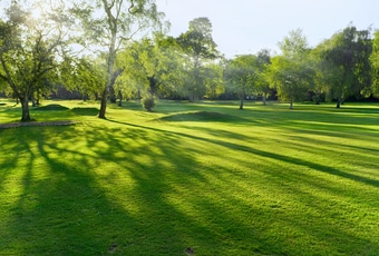 Bringing Your Lawn To Its Full Potential