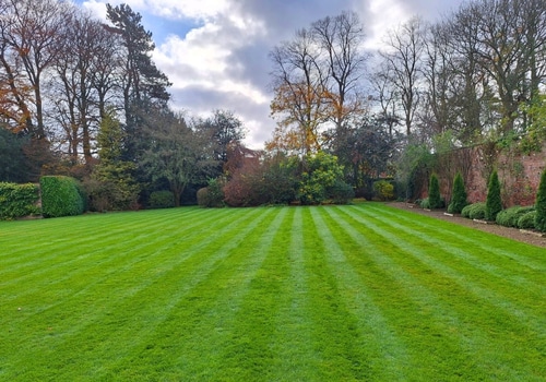 Garden Maintenance in County Durham - Jamesons Groundcare